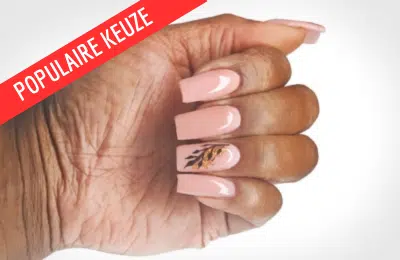 jealis_online_biab-400x260